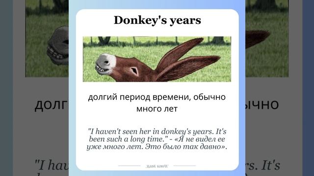 Идиомы английского языка: Животные 🐠🐆 смотреть онлайн