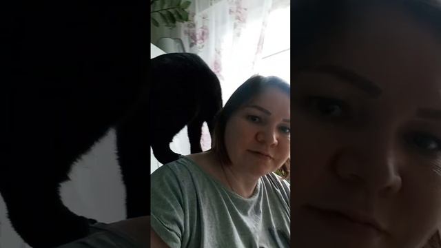 Кошка Милка и любовная любоф смотреть онлайн