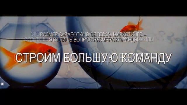 вопросы сетевом маркетинге смотреть онлайн