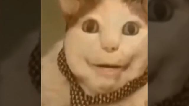 бу!испугался?