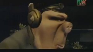 Glucose - Pig Schweine.  Глюкоза - Свинья Швайне