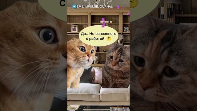 Крысиные бега #мыкотики #вмем #разговор #анекдот #шутки #кот #юмор #смешное #прикольно #мемы #cat
Кр смотреть онлайн