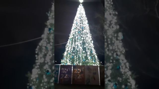 Атмосфера Новогодний ёлка в Гагаринский парк Симферополя Декабрь 2023 смотреть онлайн