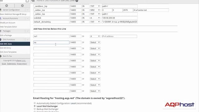 22 Crear DNS Propios - Tutorial de WHM en español (Hosting Reseller) смотреть онлайн
