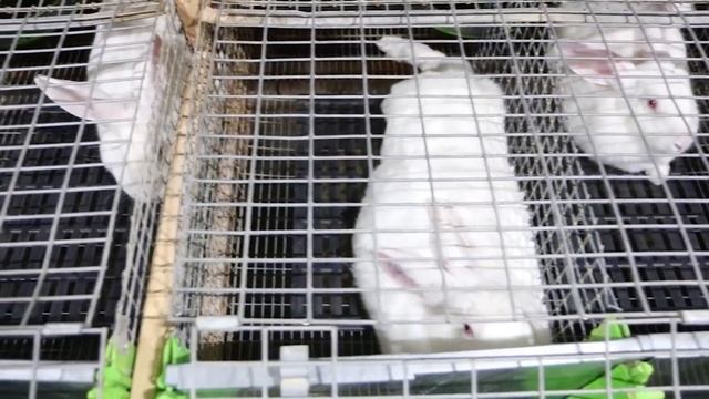 ОН В ДЕСЯТКЕ ЛУЧШИХ! КТО ВЫШЕ?? ХОЗЯЙСТВО АНДРЕЯ ! смотреть онлайн