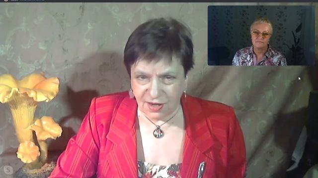 Беседы с Грибоведами. Выпуск 2. 28 января 2020 года. смотреть онлайн