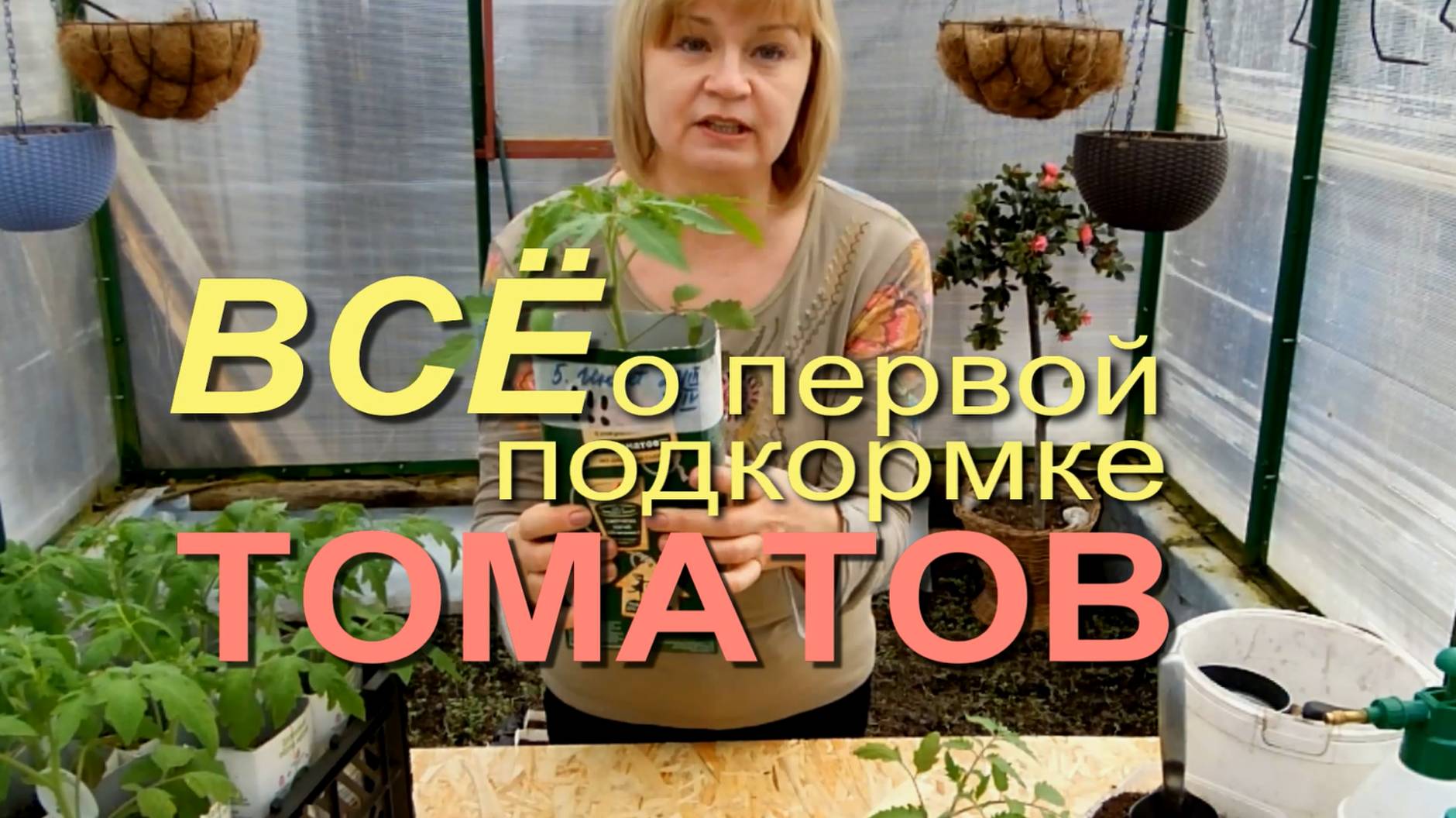 ПОДКОРМКА ТОМАТОВ! ЧЕМ и КОГДА это делать! Советы от ЗЕЛЕНОГО ОГОРОДА!