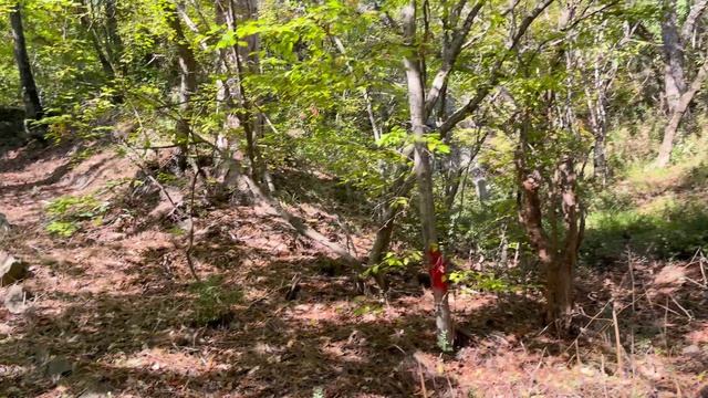 Санаторий Курпаты. 4К. 2 ч. Преобразованное! Крым. ЮБК. Гаспра. 25.10.2024 г. #сезонконтентаRUTUBE смотреть онлайн