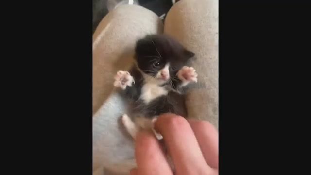 Memes Compilation #11