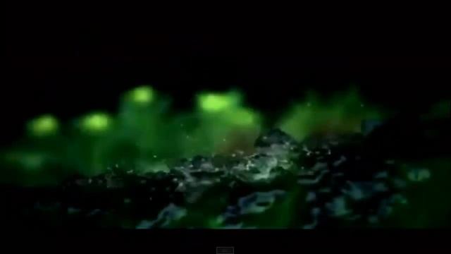 Выбор за тобой... (Мотивационный ролик) смотреть онлайн