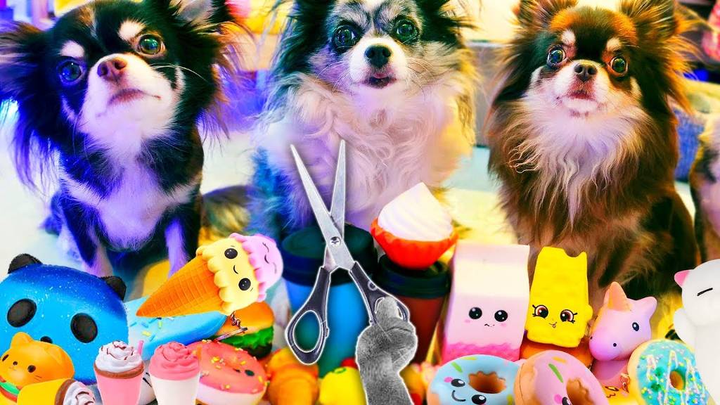 АНТИСТРЕССЫ ПРОТИВ ВОЛШЕБНЫХ ПИТОМЦЕВ! ЧТО ВНУТРИ СКВИШИ? смотреть онлайн