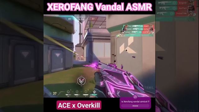 Xerofang vandal Ace overkill #xerofang #valorantace #valorantclipz смотреть онлайн
