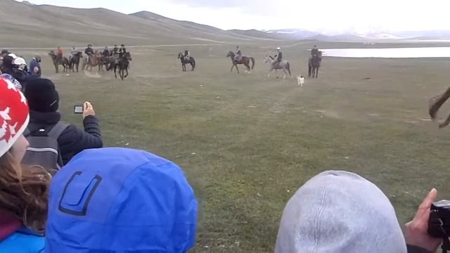 Song Kul Kok boro Ulah Tartych Buzkashi смотреть онлайн