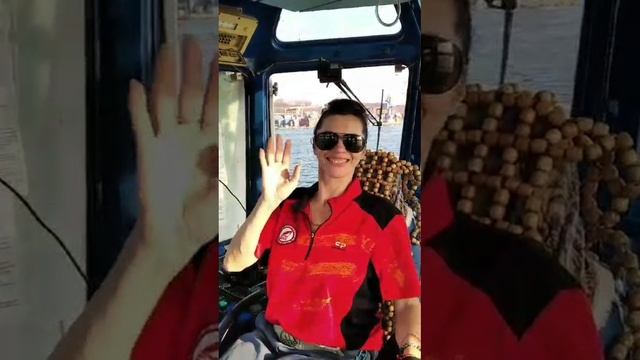 Трудовые будни м/б Добрыня 💖💖💖 смотреть онлайн