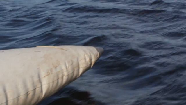 Под парусом через лес ... и новые пространства.