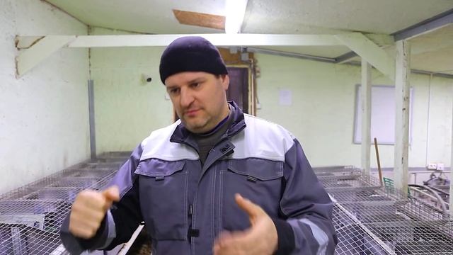 КАК УВЕЛИЧИТЬ ВАШИ ПРОДАЖИ ОТ ЛПХ? смотреть онлайн