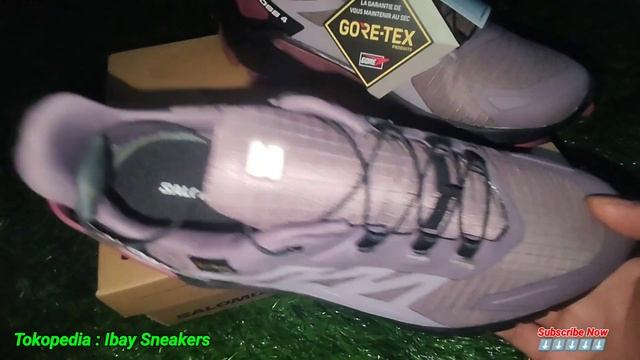 Review Salomon Supercross GTX 4 Limited