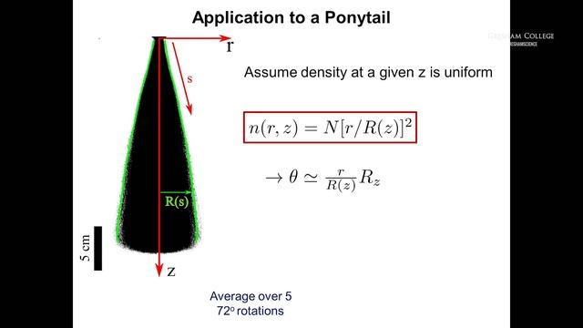 Leonardo, Rapunzel and the Mathematics of Hair - Professor Raymond E. Goldstein смотреть онлайн