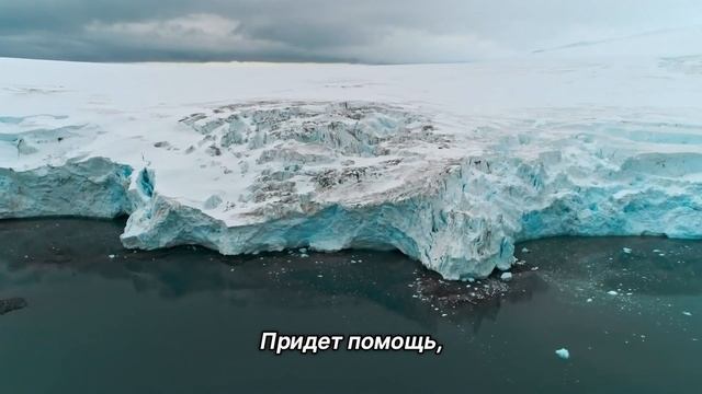 "Заботиться о себе". 13 ноября. Мелоди Битти. Ежедневник для созависимых. смотреть онлайн