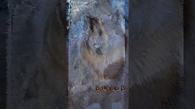 Волк-Луна не знает пути смотреть онлайн