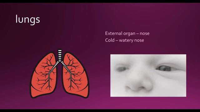 secrets about our body organs: смотреть онлайн