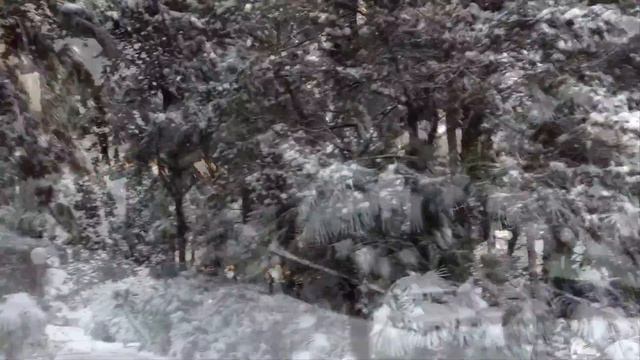 «Снег кружится» ВИА Пламя. Сочи на Новый год. смотреть онлайн