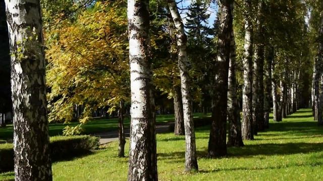 Осень в картинках. Часть 2. Воробьёвы горы смотреть онлайн