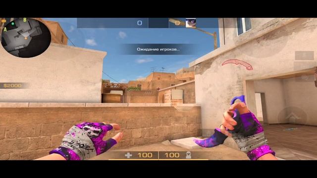 Gloves Raider + Karambit Purple Camo 💜