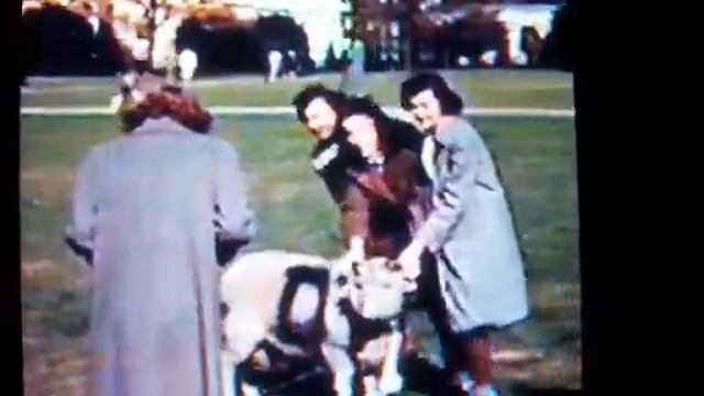ORIGINAL FILM 1940 Duke University Fraternity Prank Pi Kappa Phi UNC Mascot RAM смотреть онлайн