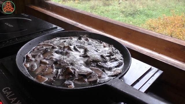 Мы его пожарили! Ежовик чешуйчатый -Sarcodon squamosus. "Грибная кухня" смотреть онлайн