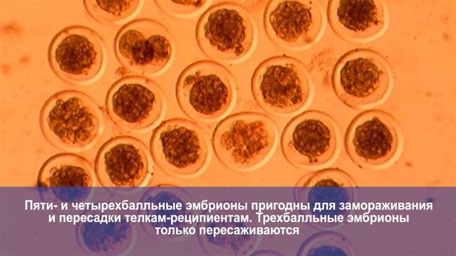 Наука в ЮУрГАУ смотреть онлайн