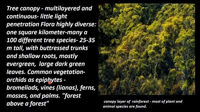 20.Zoology | Organisms and Population | Flora and Fauna of Tropical forests смотреть онлайн