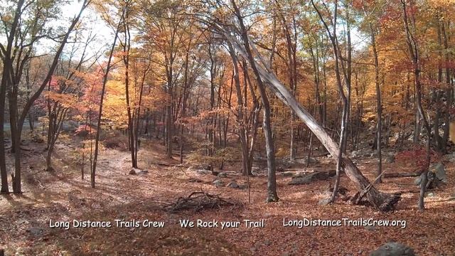 Blow down removal Oct. 25, 2015 смотреть онлайн