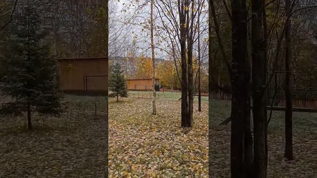 Облетают последние листья... смотреть онлайн