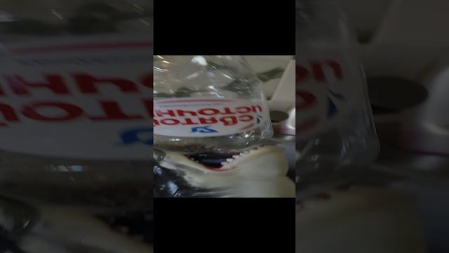 VID_20241109_141100.mp4 смотреть онлайн