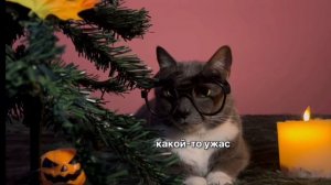 ХЕЛЛОУИН В ШКОЛЕ КОТОВ