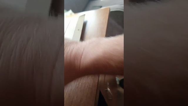 матки від Скленара смотреть онлайн