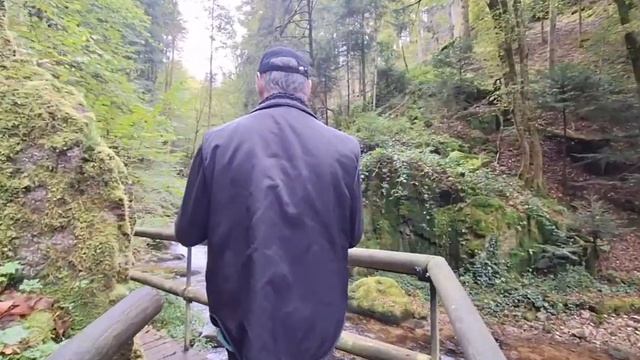 Хочет ли немец Рольф жить в России | Geroldsauer Wasserfall Baden-Baden