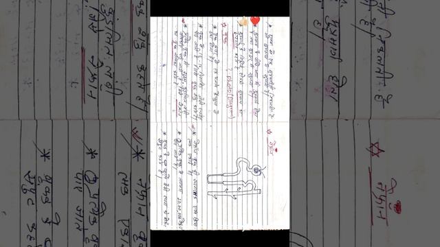 EXCRETION Notes In Hindi|| उत्सर्जन नोट्स||Life Process Notes||Class 10th Science hand written note смотреть онлайн