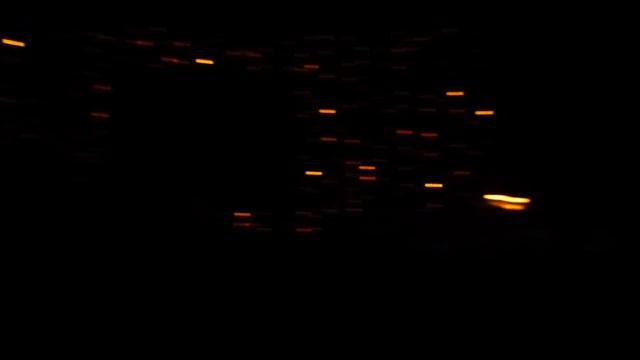 Витас в БКЗ. 02.03.12 Зал ликует! смотреть онлайн