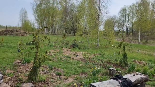 День в стиле Фигаро, стражи Совиного Дола и маленькая неприятность смотреть онлайн