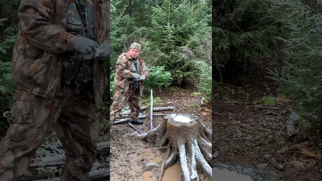 Солонец лосям и кабанам наполнили! смотреть онлайн