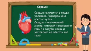 2 класс. Окружающий мир. Строение тела человека