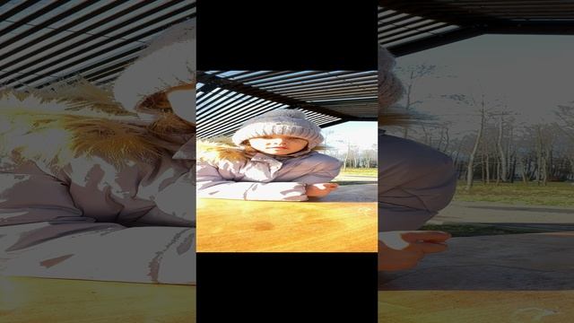 Факты про хоккей смотреть онлайн