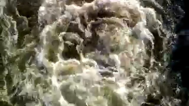 SV_A0071.mp4 смотреть онлайн