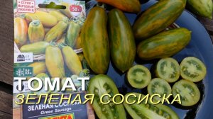 Томат ЗЕЛЕНАЯ СОСИСКА. Обзор сортов ТОМАТОВ!