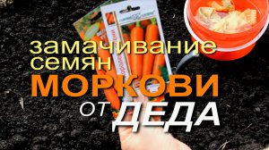 ПОСЛЕ ЭТОГО МОРКОВЬ ВСХОДИТ ЧЕРЕЗ 4-5 ДНЕЙ! Советы от ЗЕЛЕНОГО ОГОРОДА!