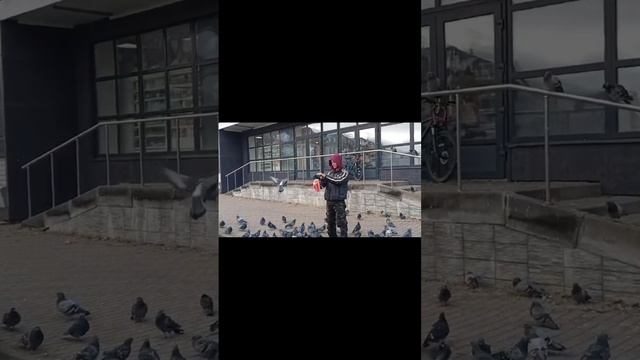 Голубиная атака смотреть онлайн