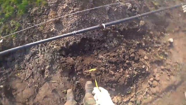 ТЕПЕРЬ БУДУ ДЕЛАТЬ ТОЛЬКО ТАК! НАЧАЛО СЕЗОНА НА ВИНОГРАДНИКЕ 2021, ПЕРВАЯ ОБРАБОТКА! смотреть онлайн