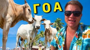 Отдых в Индии на ГОА - Лучший пляж на Севере Гоа: Вагатор,  ЦЕНЫ в кафе, ЭКСКУРСИИ, еда и отель